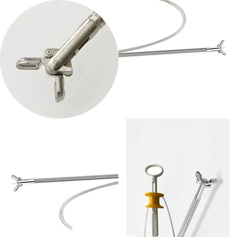 Tissue Acquisition Cold Uncoated No Disposable Biopsy Forceps