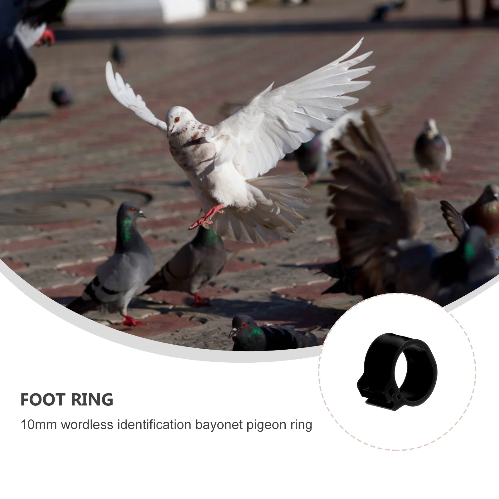 

100 pcs Pigeon Foot Rings Leg Bands Identification Rings For Bird Poultry Management Lightweight Clip On Ring Easy Apply Remove