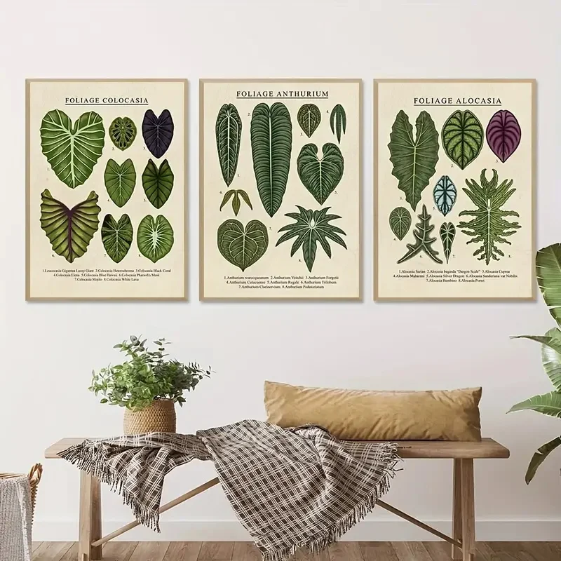 3pcs Anthurium Colocasia Alocasia Foliage Plant Canvas Painting Retro Plants Flower Potted Posters Wall Art Living Room Decor