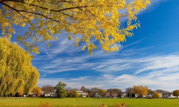 

Sulong SL326 1:14 Scale Alloy Remote Control Car, 4WD RC Desert Off-Road Truck, Electric Toy Car for Boys Girls Kids Adults