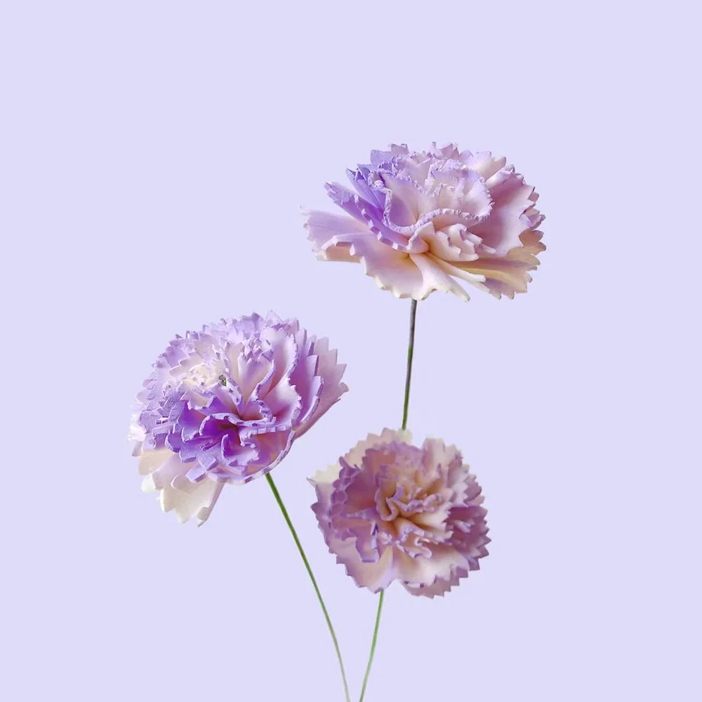 10PCS Roxo Cravo Flor Rattan Sticks Incansável Fragrâncias Reed Difusor Vara Diy Ornamentos Home Decor