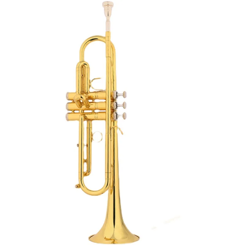 Trumpet in B flat, beginner, Young Pioneers, drumming
