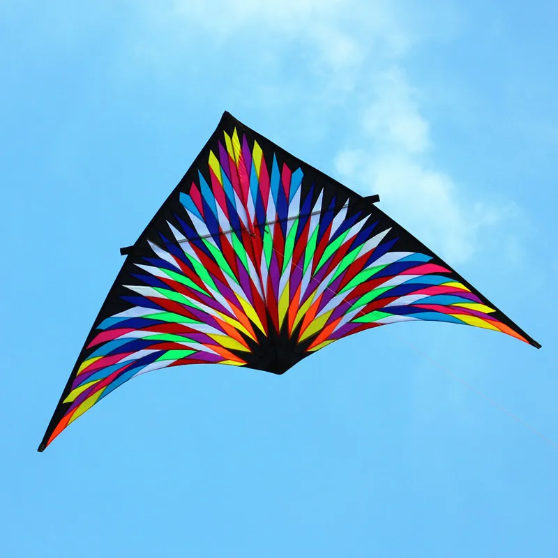 Free shipping 6sqm large delta kite for adults reel flying toys nylon kite string line dragon kite cerf volant parachute ghost