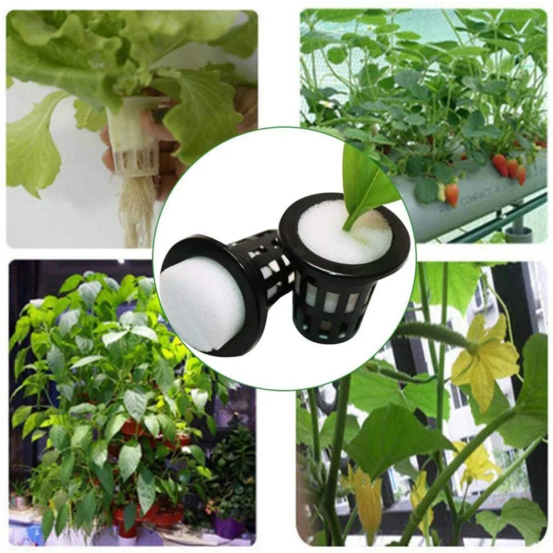 AB33-100 Pcs Hydroponic Sponge Overground, Soilless Hydroponics Vegetable Growing System Greenhouse Plant Gardening Tool 50Mm