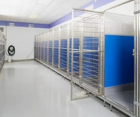 Luxury kennel with raised glass gutter floor with animal motifs