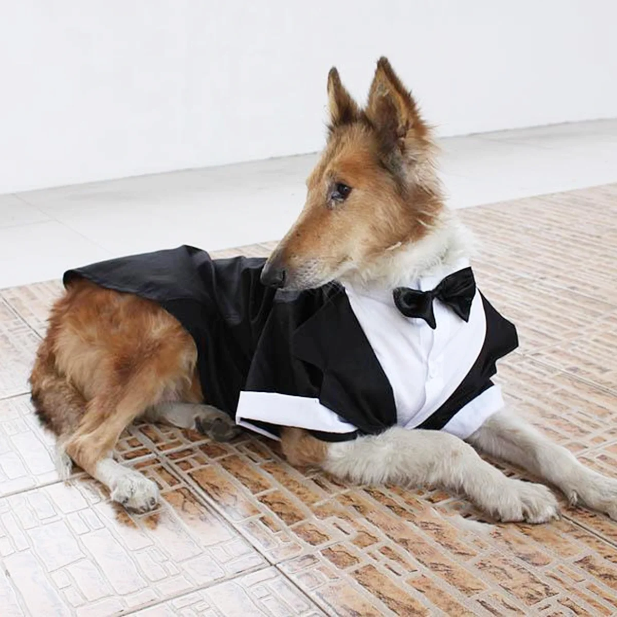 

Pet Dog Wedding Tuxedo Suit Size British Style Formal Party Gentleman Coat Costume for Special Occasions and Holiday