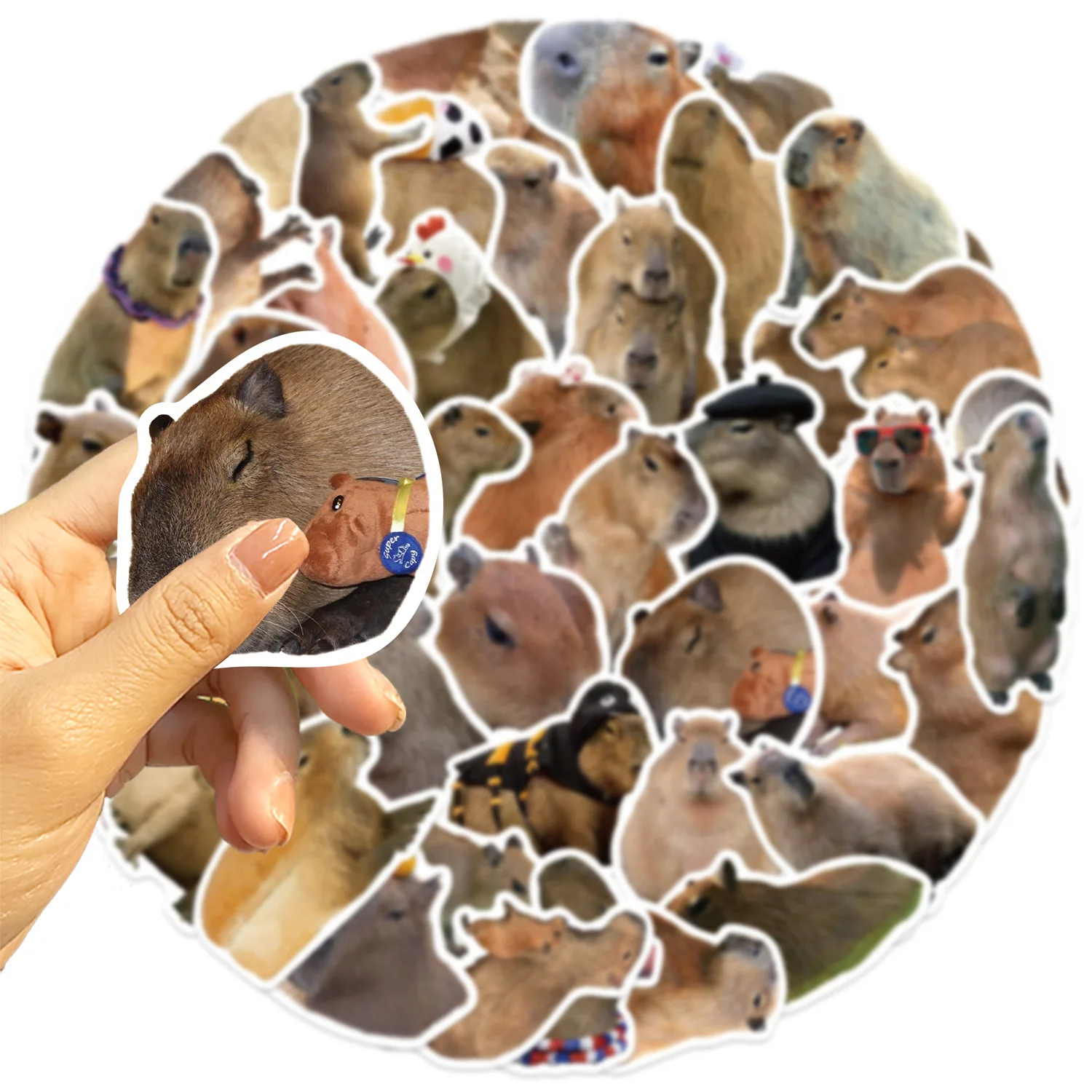 50PCS Nette Capybara Tiere Graffiti Aufkleber DIY Telefon Gitarre Laptop Notebook Koffer Wasserdicht Cartoon Aufkleber Kinder Spielzeug