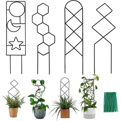 Climbing Plant Trellis Plant Support Garden Stake Stand Climbing Rack Iron Flower Trellis Frame Stand Holder Garden Decor