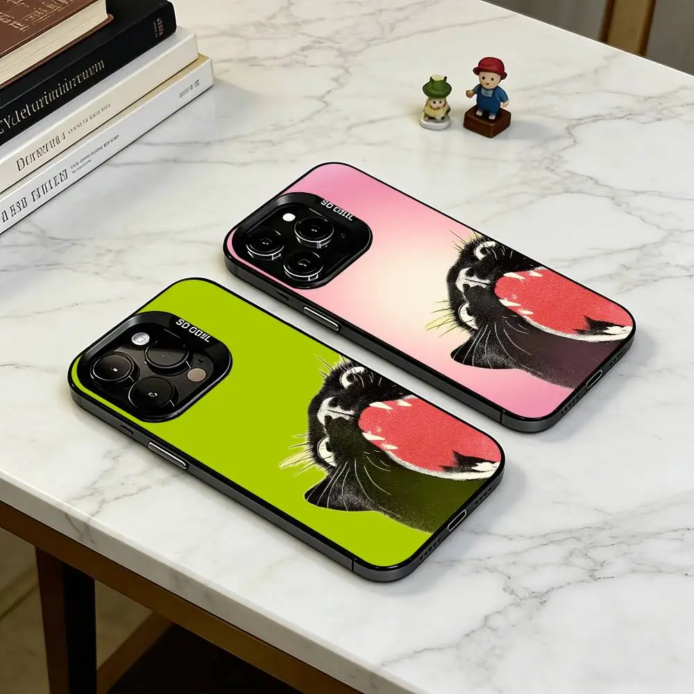 

Funny Screaming Black Cat Phone Case For iPhone 17,16,15,14,13,12,11 Plus,Pro Max,XS,Colorful Silver Phone case Funda Cover