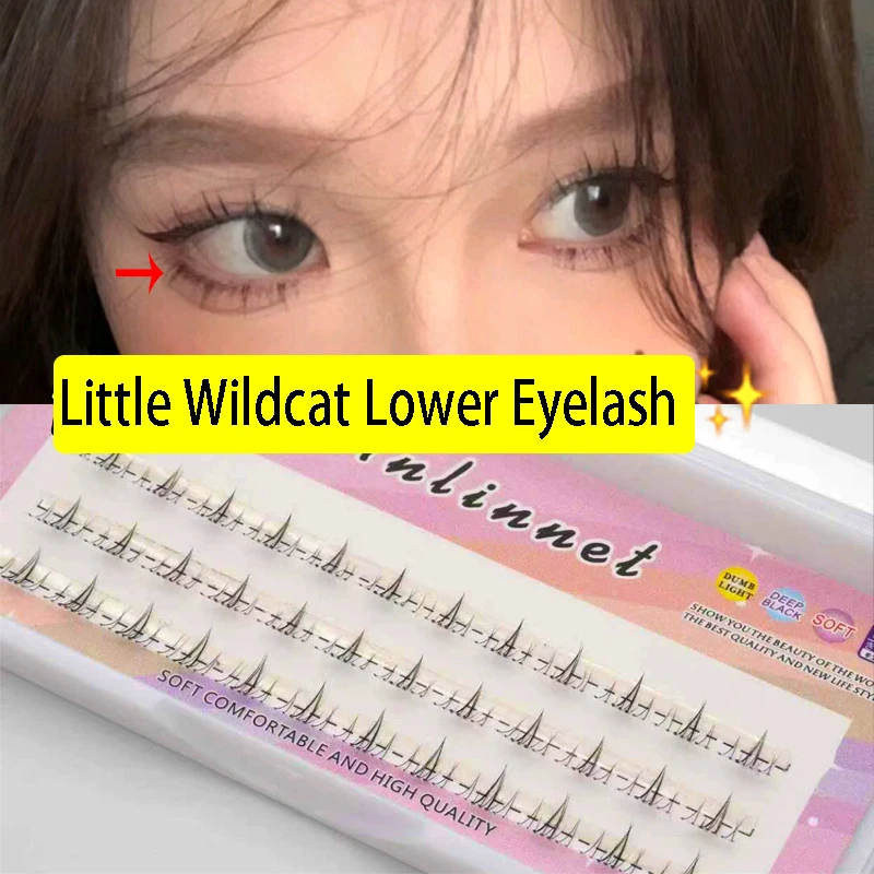 Segmentado Pequeno …