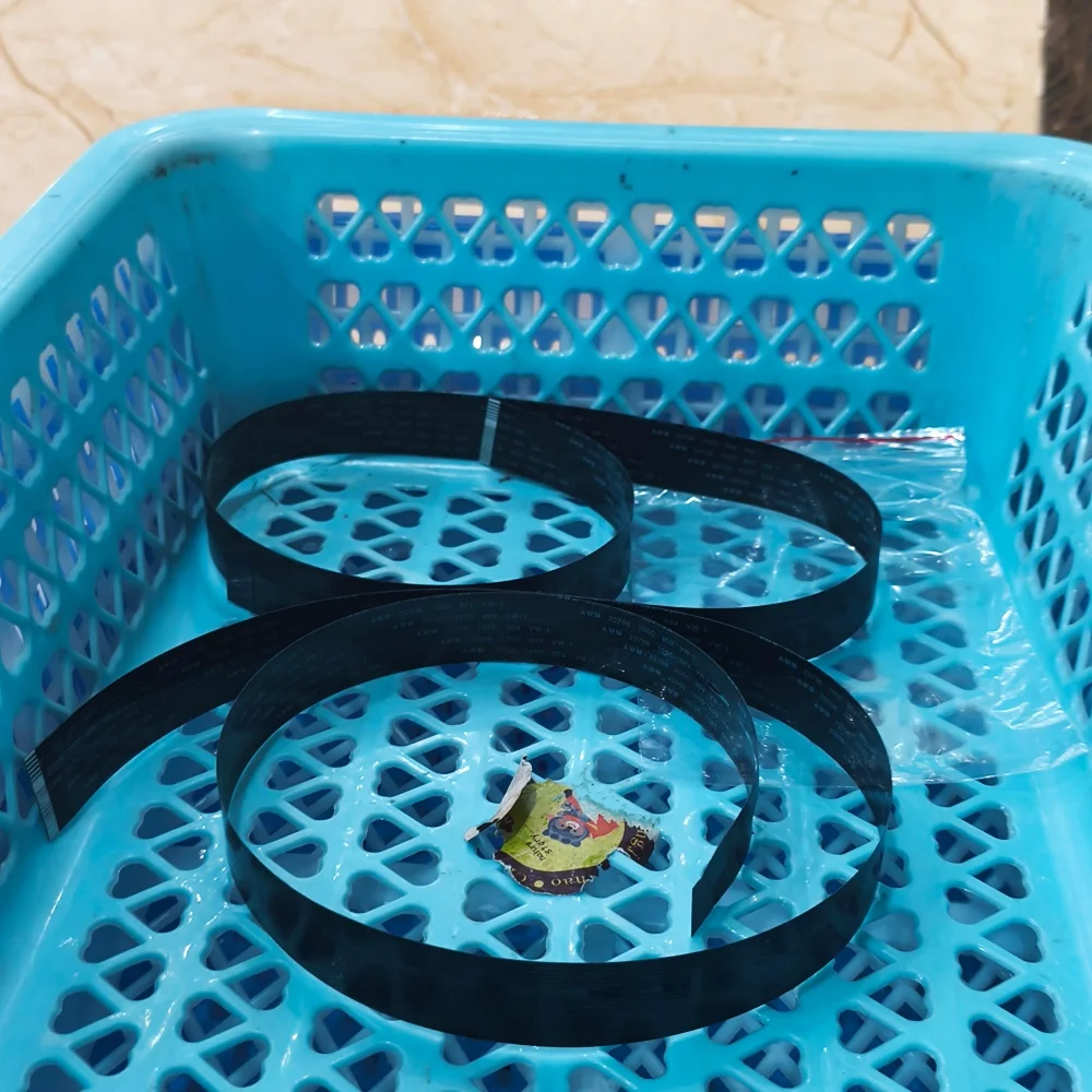 10X Scanner Assy Ss…