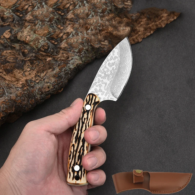 

Small Survival Knife Portable With Holster Fixed Blade Outdoor Camping Barbecue Cleaver Fruit Cutter Tool EDC Knives 58HRC