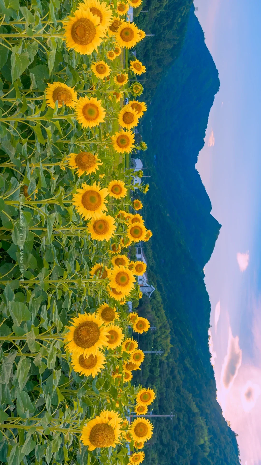 

2 Din Android13 8+256G Car Radio For Dodge Journey Fiat Freemont Multimedia Player GPS Navi Auto Stereo Head Unit DSP Carplay