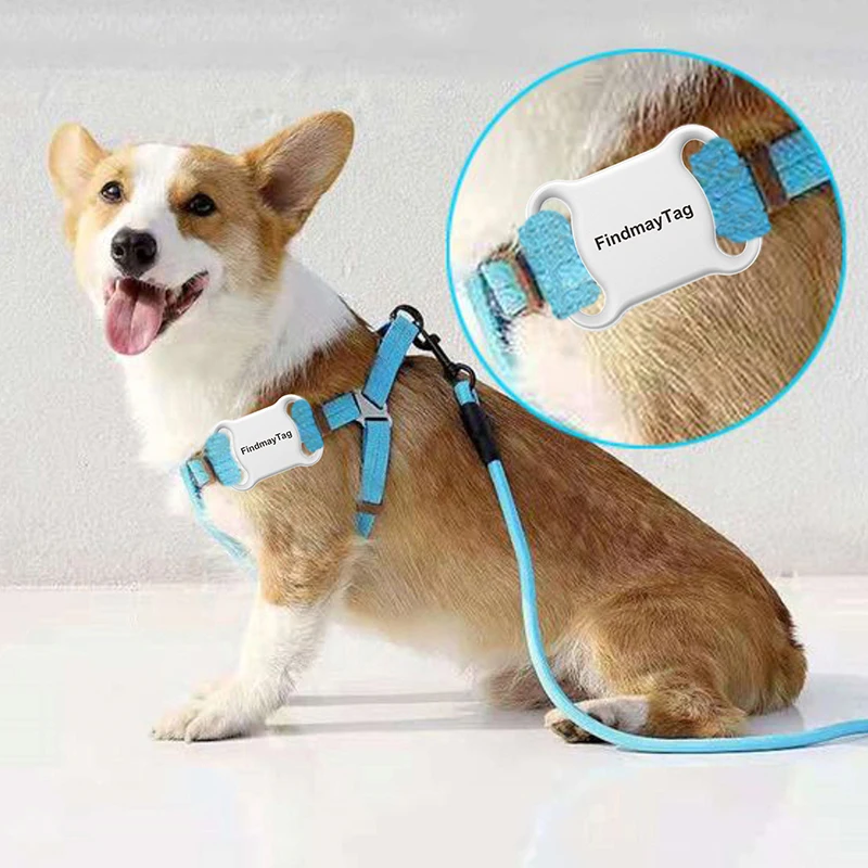 Real Time GPS Tracker for Pet Dog, Mini GPS Tracker, Multiple Colour, Long Distance Tracking Device, GPS Locator