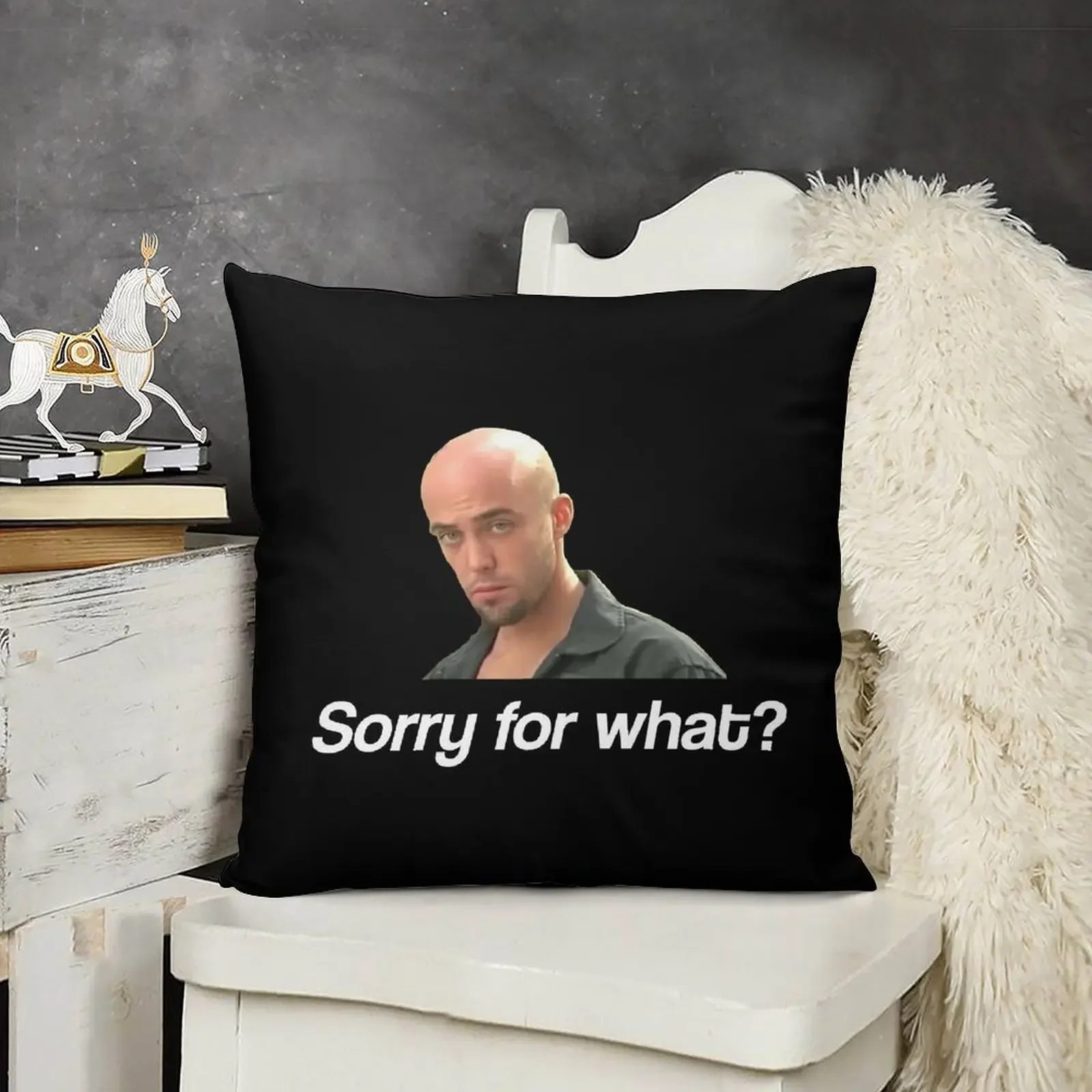

Sorry for what Throw Pillow Luxury Pillow Case Christmas Cushion For Home Sofa Cover pillow