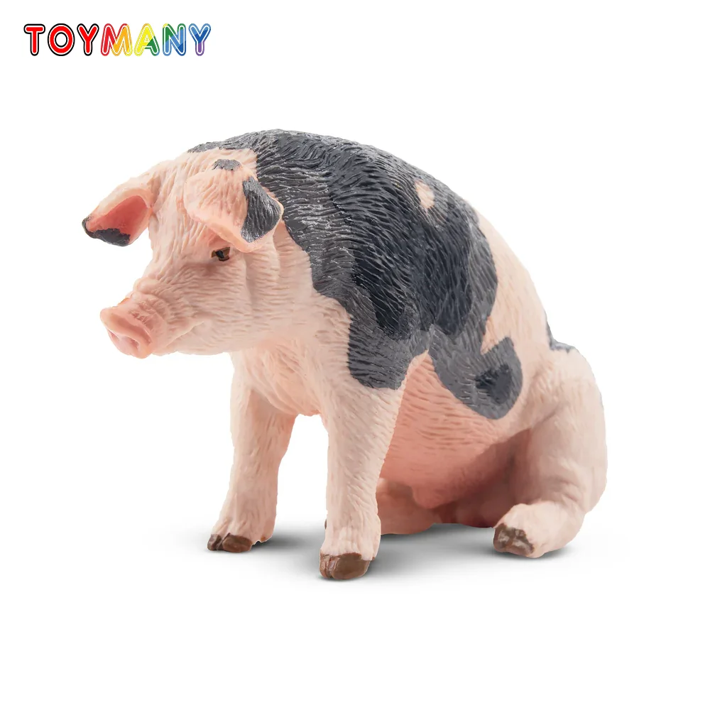 

Toymany Simulation Daddy Pietrain Pig Farm Animal Model Toy Mini Figures Dolls Action Figurines Toys Children Gift