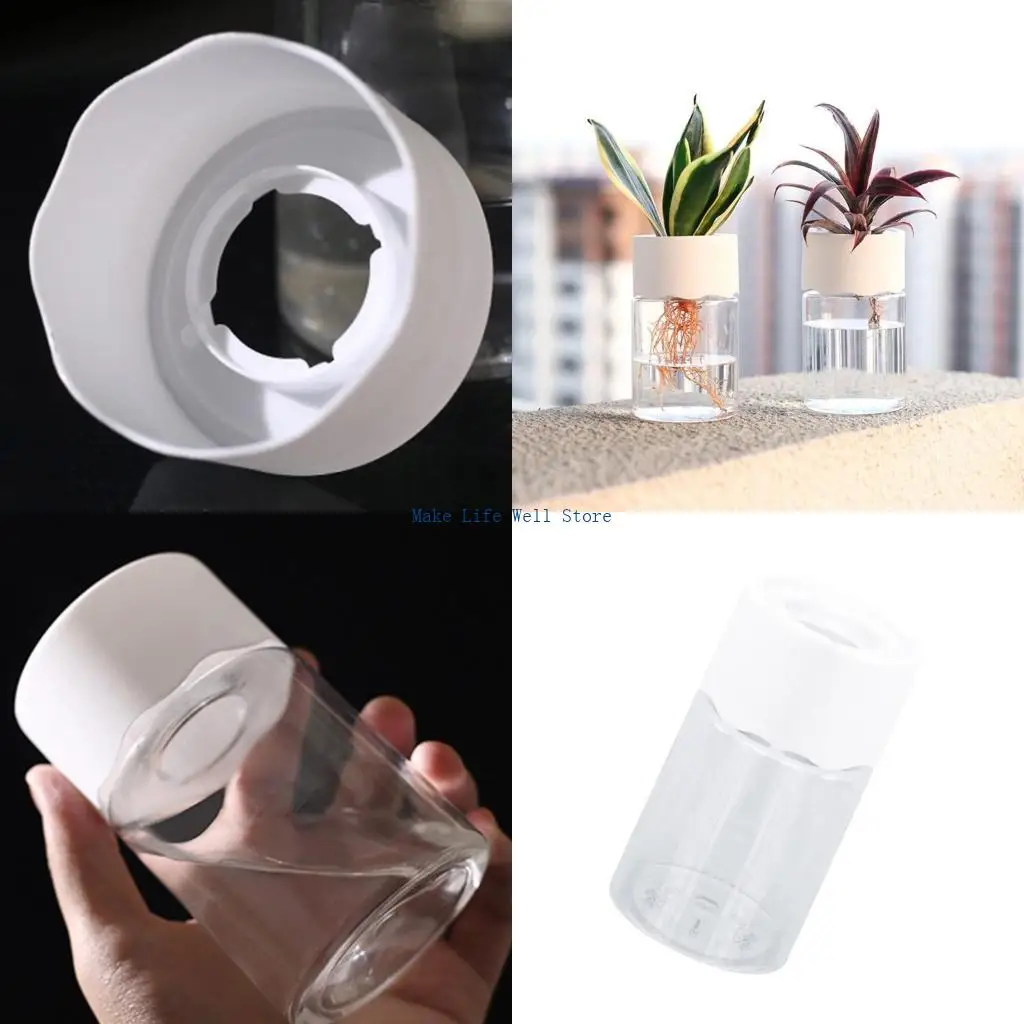 

Indoor Hydroponic Planter Soilless Plant Pots for Easy Observation Plant Growth