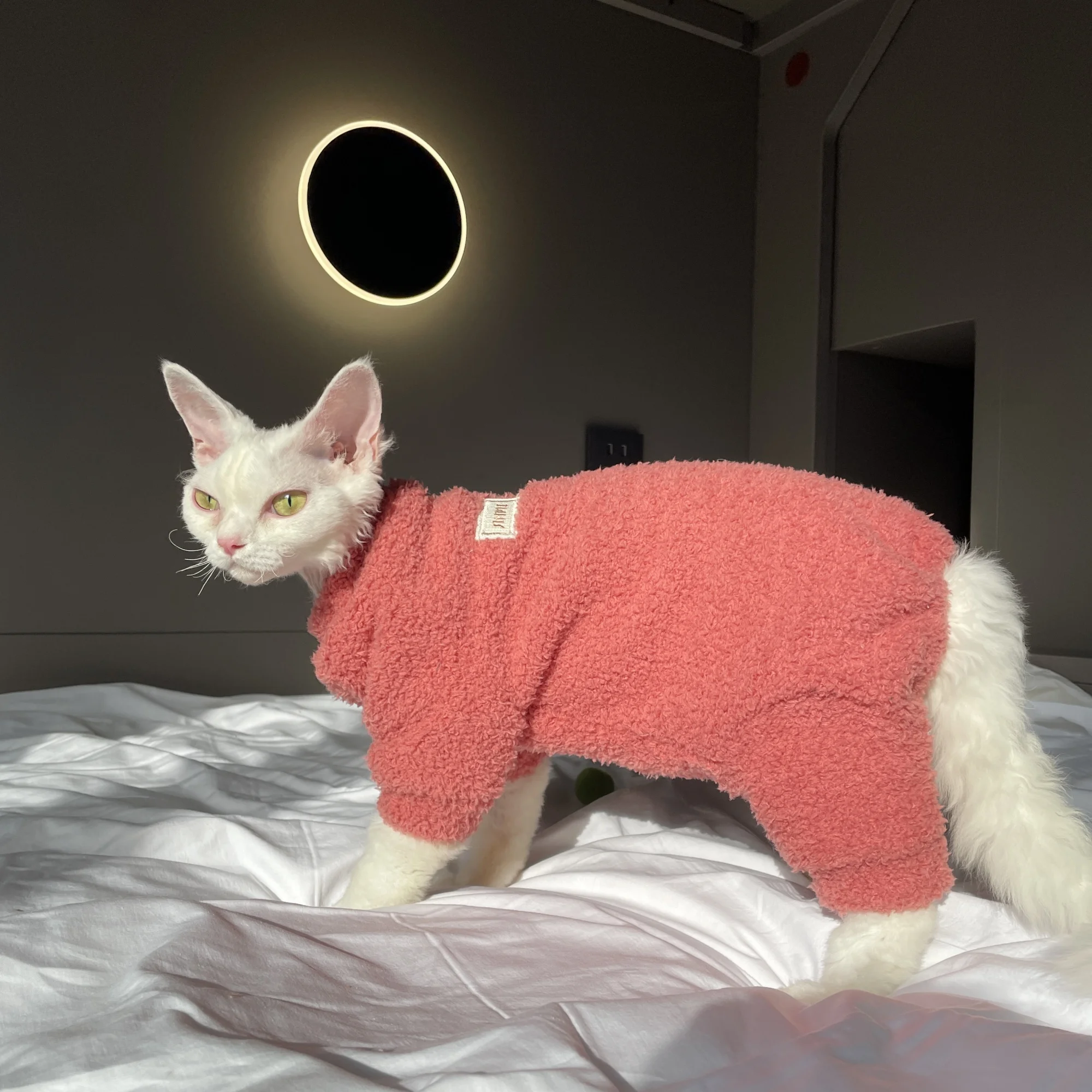 Winterwarmer 4-beiniger Plüsch-Sweatshirt-Hutanzug für Devon Rex im Winter, weicher gelber roter Pullover für Sphynx-Katze, Kätzchen, Khaki-Mantel – Detail 12