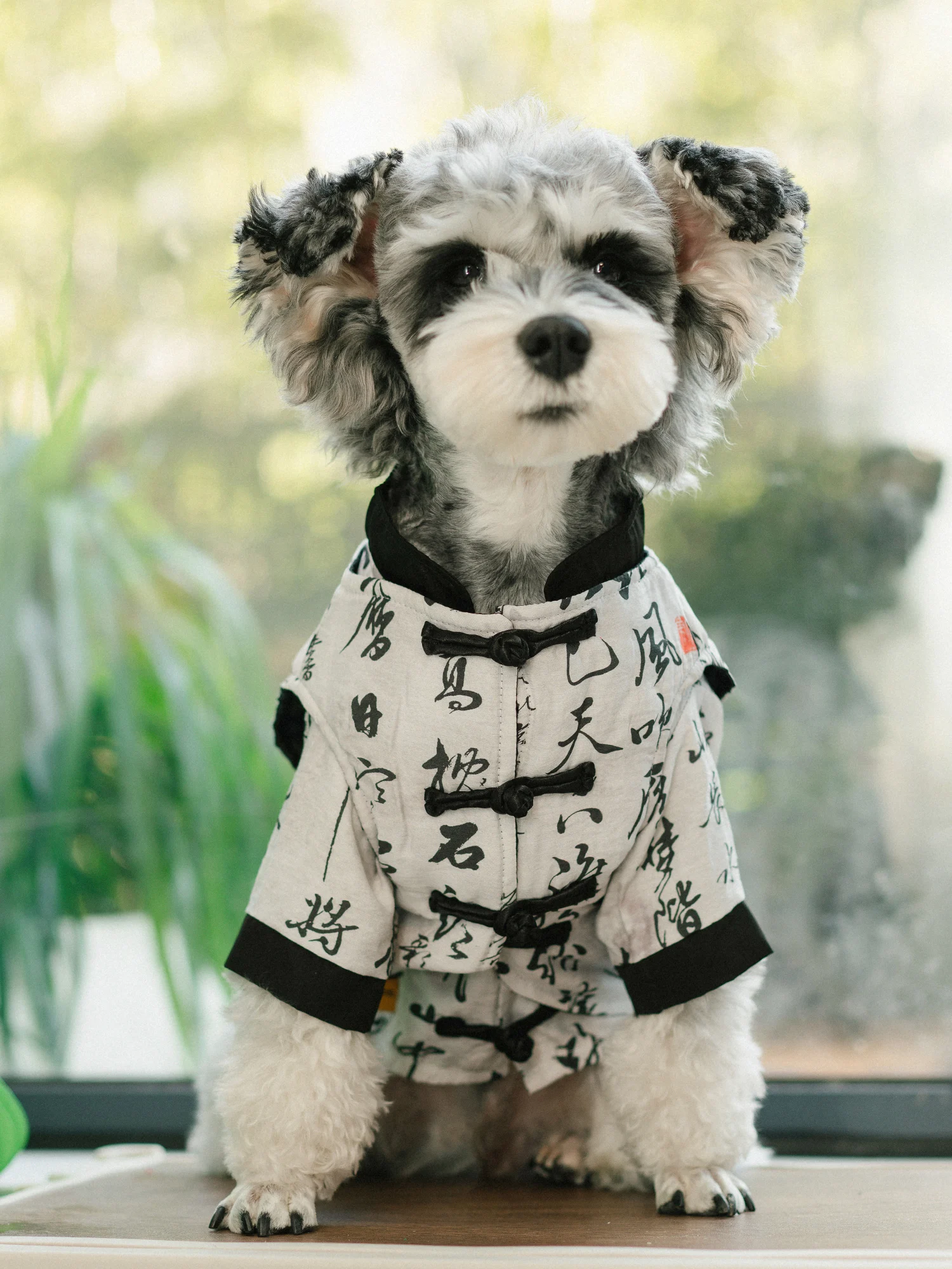 Chinese Calligraphy Style Dog Hoodie, Personalized Vest for Teddy, Bichon, Schnauzer, Spring and Autumn