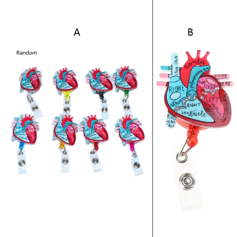 F42F Badge Reels Holder for Name Tags Card Heart Anatomy Nursing Doctor Medical Work