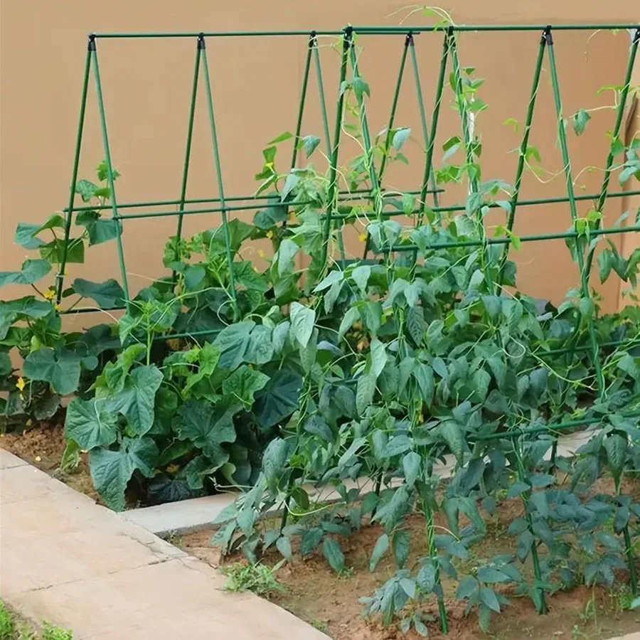 

ler 37pcs Plastic Coated Steel Plant Support Stakes Garden Climbing Trellis Kit for Vegetables Fruit Plants xs63-fro