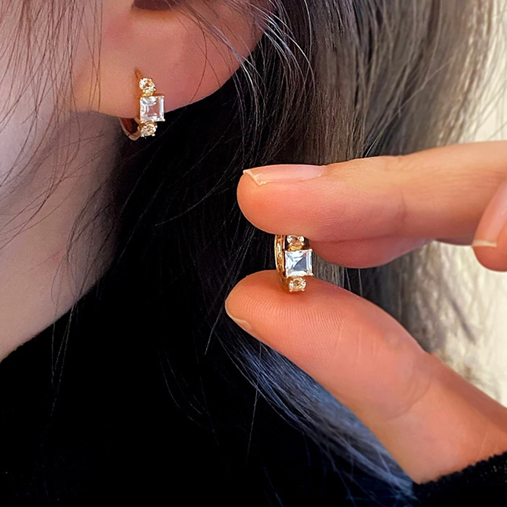 CANNER Fashion Mini White Zircon Hoop Earring S925 Sterling Silver Loops Pendant Huggie Earring Dla kobiet Wykwintny prezent jubilerski