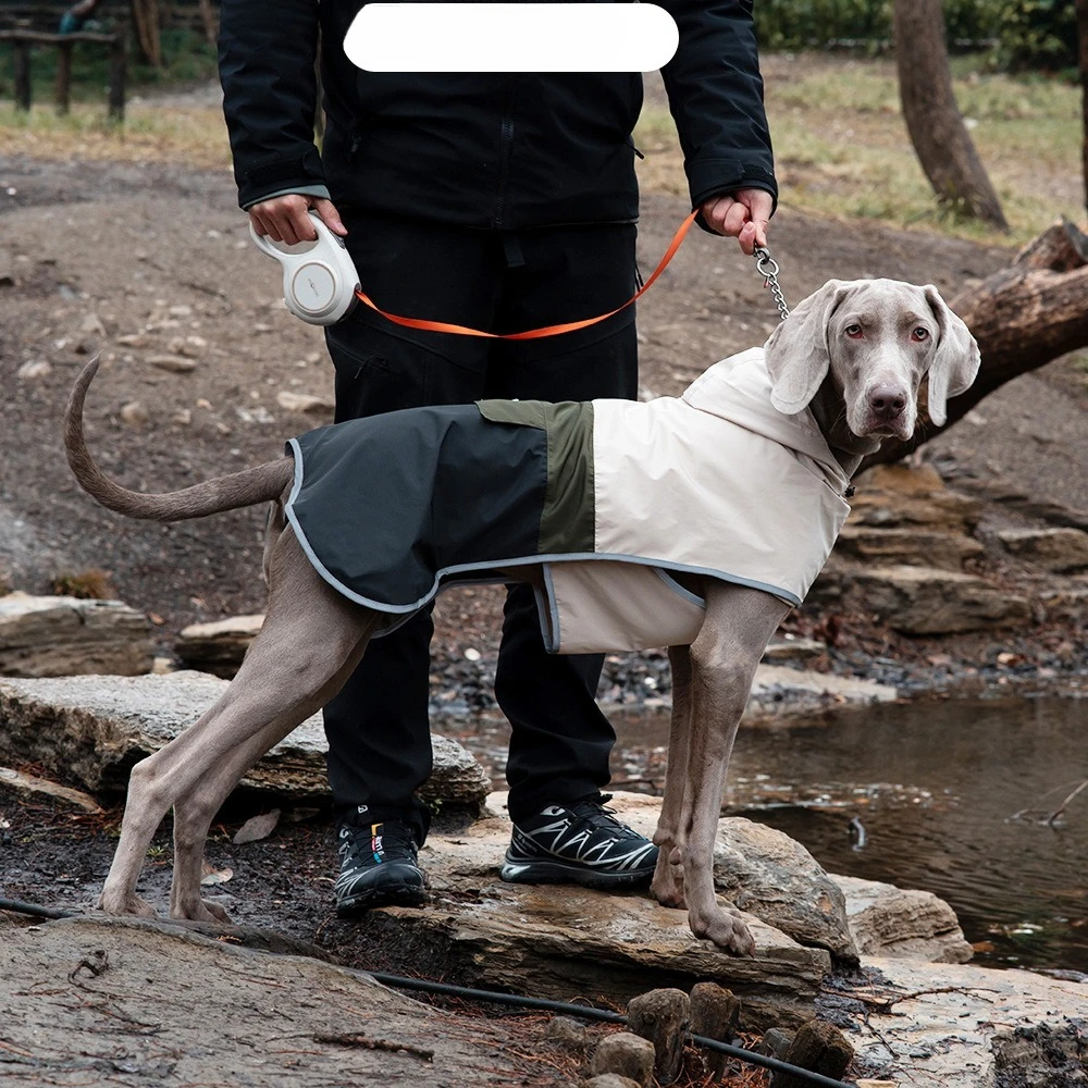 

Одежда для домашних животных, весенне-осенняя по цвету уличная водонепроницаемая ветрозащитная куртка для больших собак, плащ для домашних животных, костюм для собаки