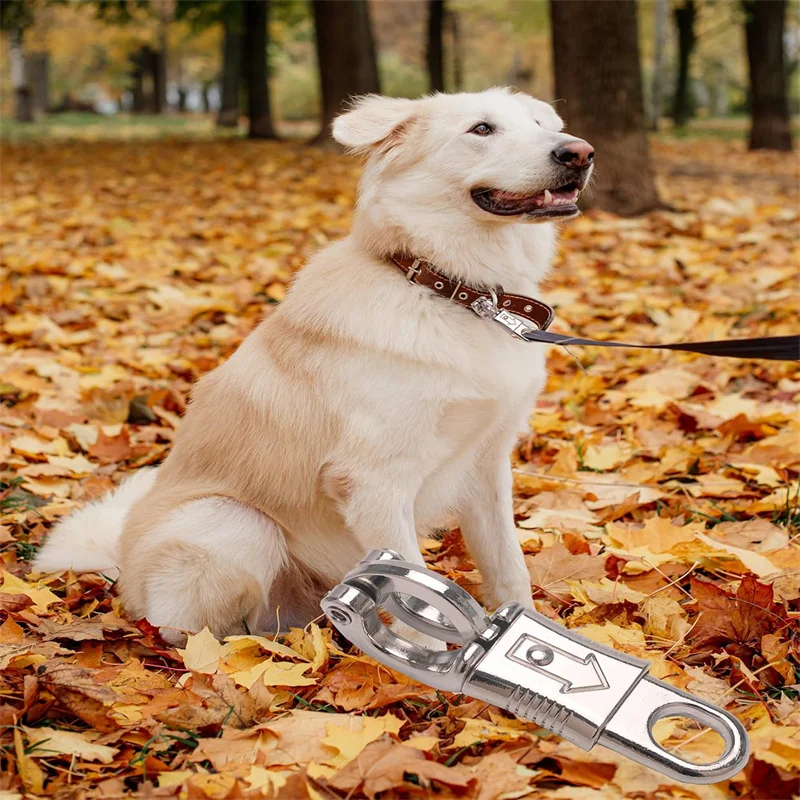 1/2 قطعة 10 سنتيمتر سبائك الزنك الحصان الذعر كليب مشبك الإفراج السريع الذعر هوك المفاجئة ل الفروسية الحصان المهر Cob منتجات العناية بالحصان