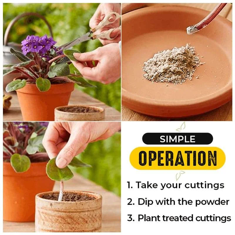 350g Quikly Rooting Powder Rooting Hormone Powder Improve Flowering Cutting Survival Rate Plants Grow Cut Dip Powder Fertilizer