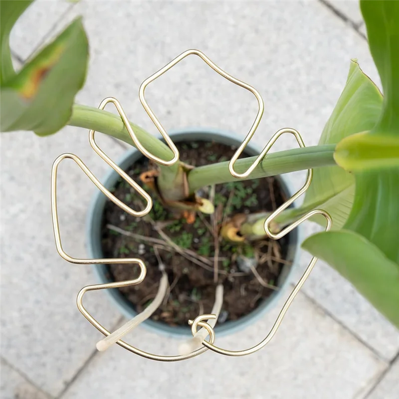 

A84Z-Monstera Stem Support 5Pcs Plant Support System For Monstera & Turtle Shell Plants-Quality Leaf Clamps