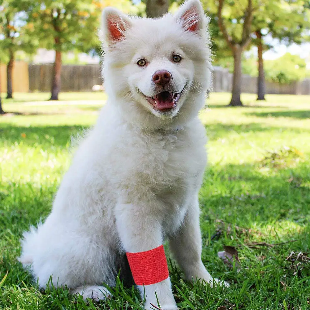 

5 Rolls Elastic Pet Bandage Nonwoven Soft Stretchable Vet Wrap for Dog Cat Injury Support Tendon Joint Comfort No Hair Stick