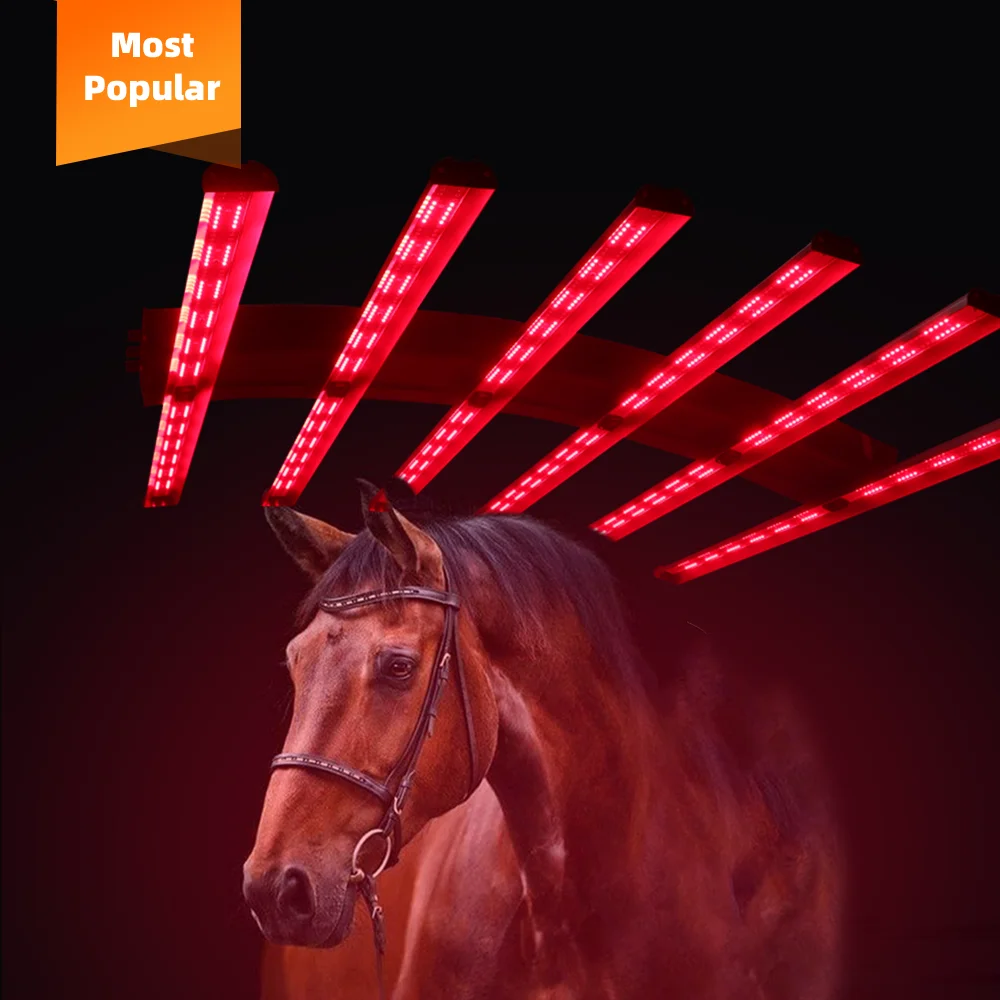 

Redfy Barn Use Infrared Led Equine Solarium Device Full Body Treatment Infra Red Light Therapy Machine For Horse