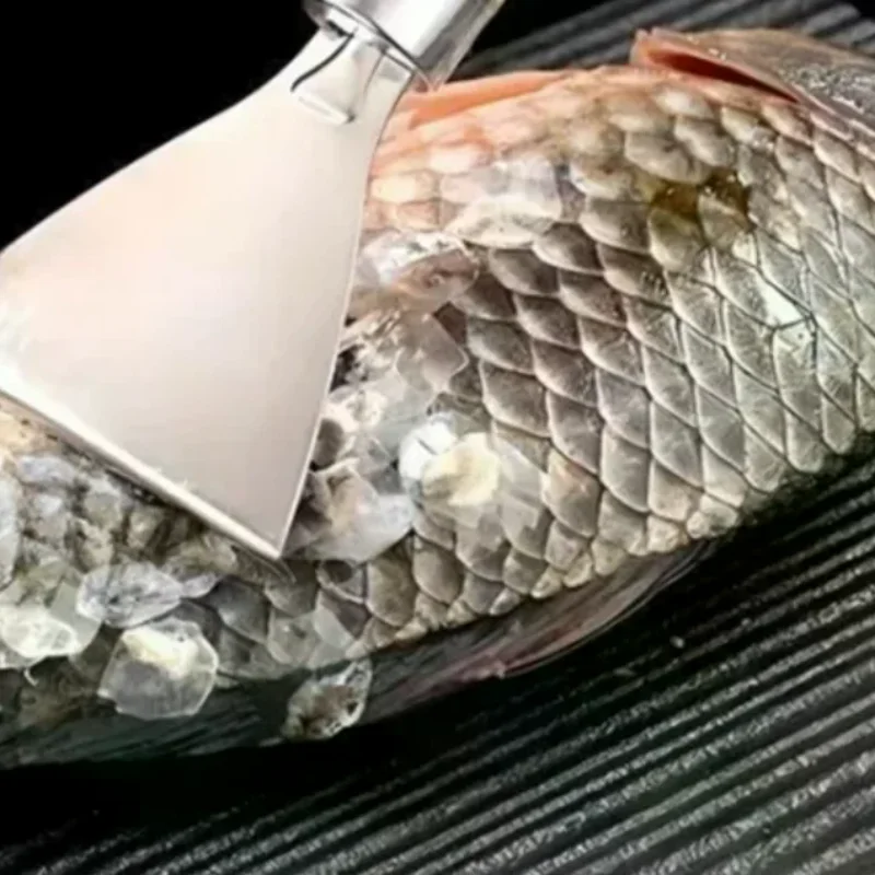 

1pc Stainless Fish Scales Scraping Graters Fast Remove Cleaning Peeler Scraper Bone Tweezers Tool Gadges Kitchen Accessorie