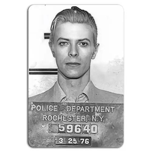 David Bowie Polizeifoto: Ikonisches Polizeifoto von 1976 auf Metallschild aus Aluminium