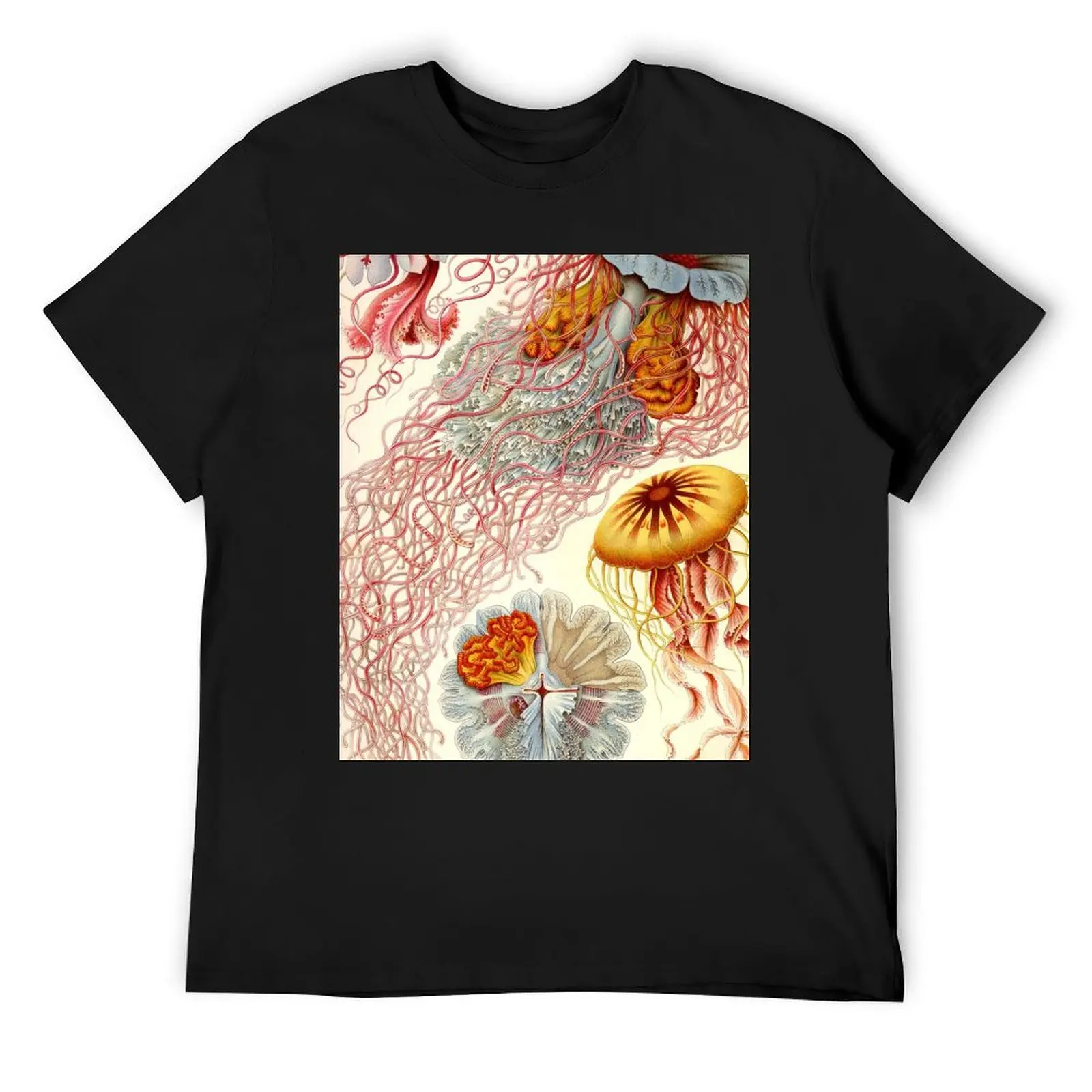 Jellyfish - Ernst Haeckel T-Shirt korean fashion shirts graphic cheap stuff shirts graphic tee mens designer clothes