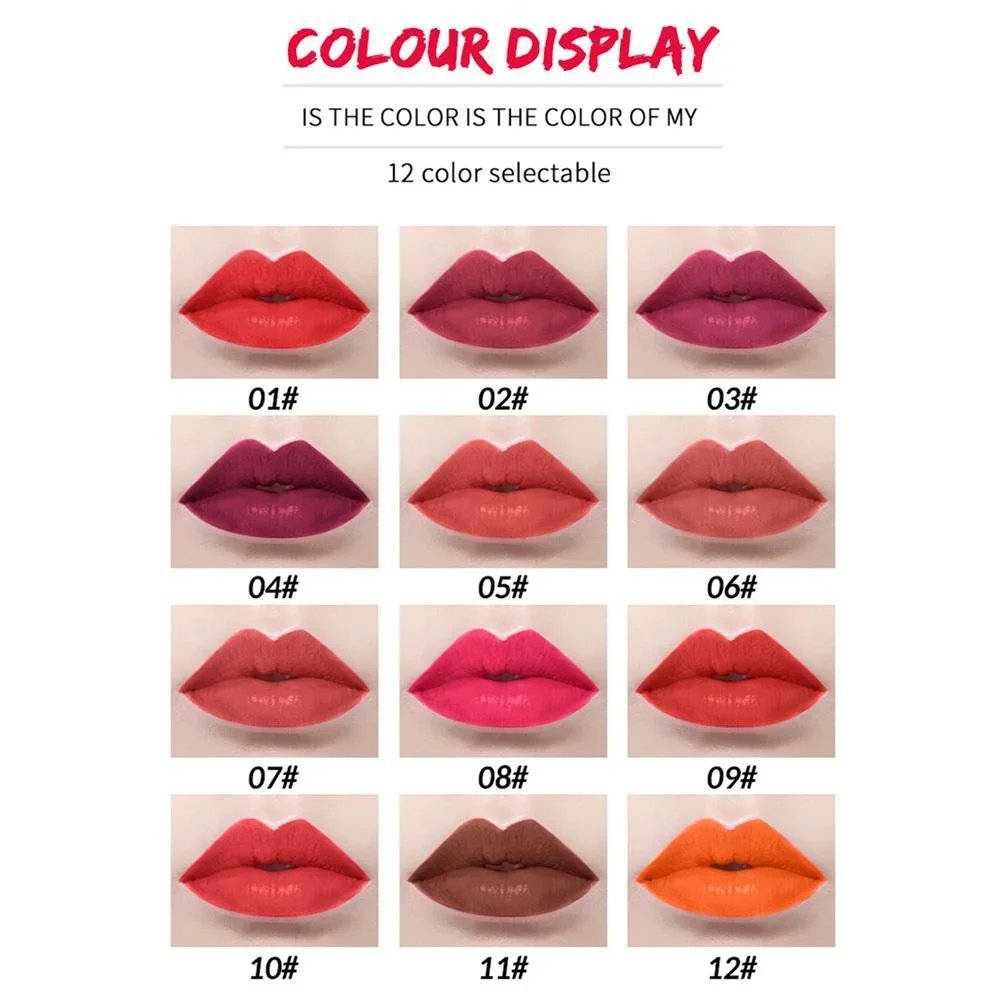 12PCS Set di matite per labbra opache Matite per labbra impermeabili a lunga durata Liscio colorato Rossetto nudo Penna Pigmenti per trucco labbra per le donne