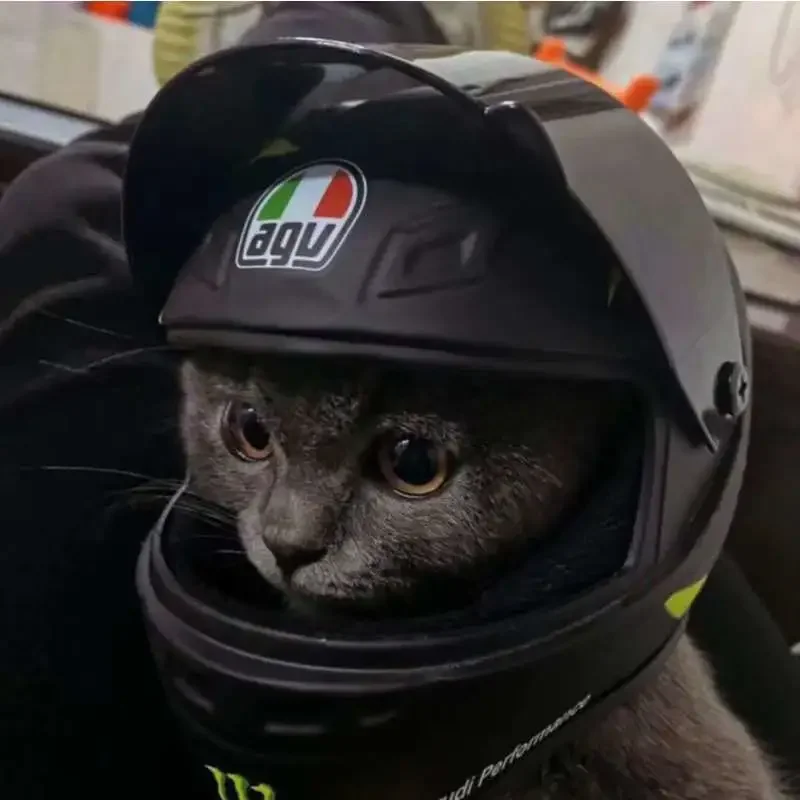 Cat Helmet Special Pet Male Cat Handsome Mini Motorcycle Hat Small Dog Safety Hat Motorcycle