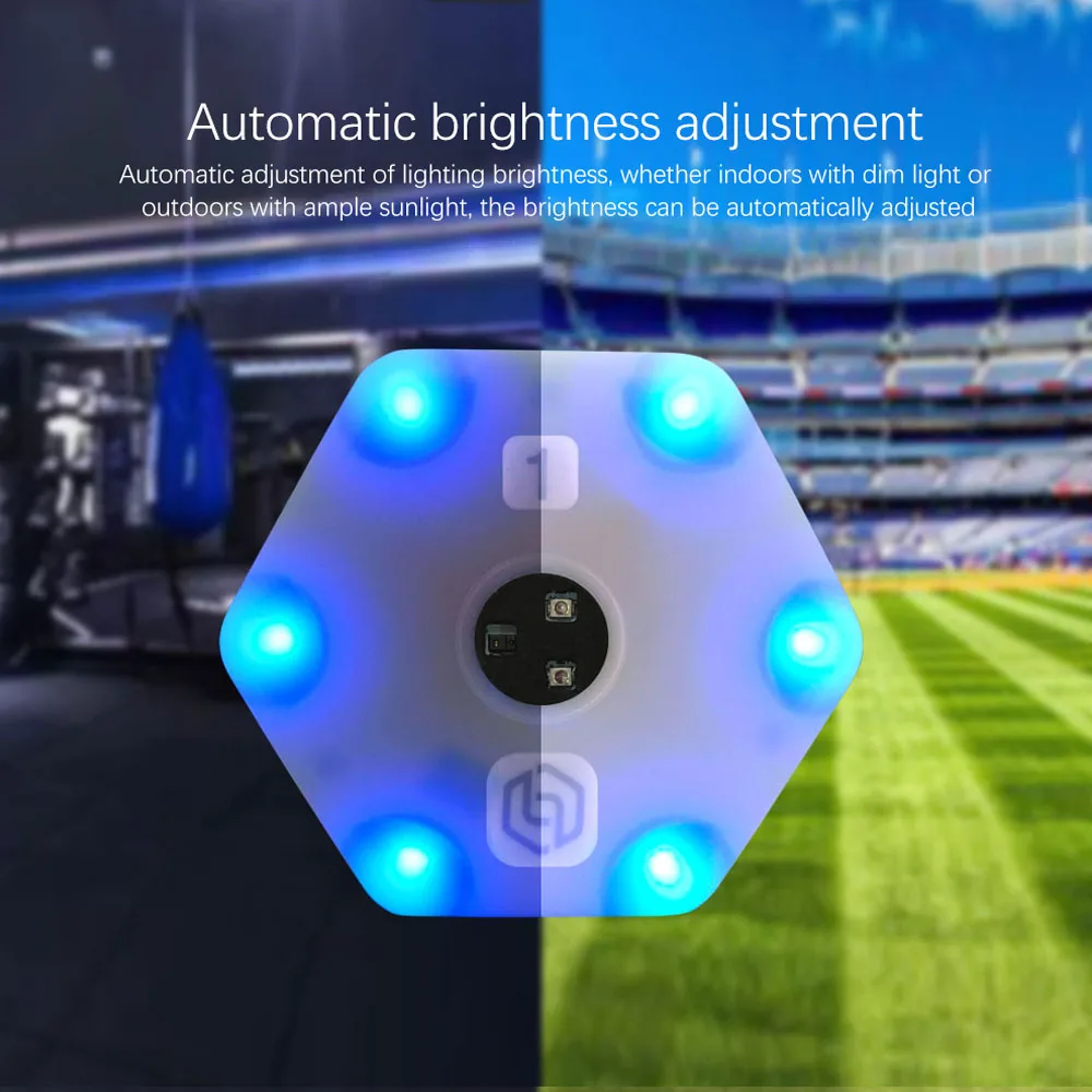 Basketball Training Reaction Lamp Football Taekwondo Tennis Speed Sensing Agile Lamp Badminton Training Equipment 12 Lights+App - view 4