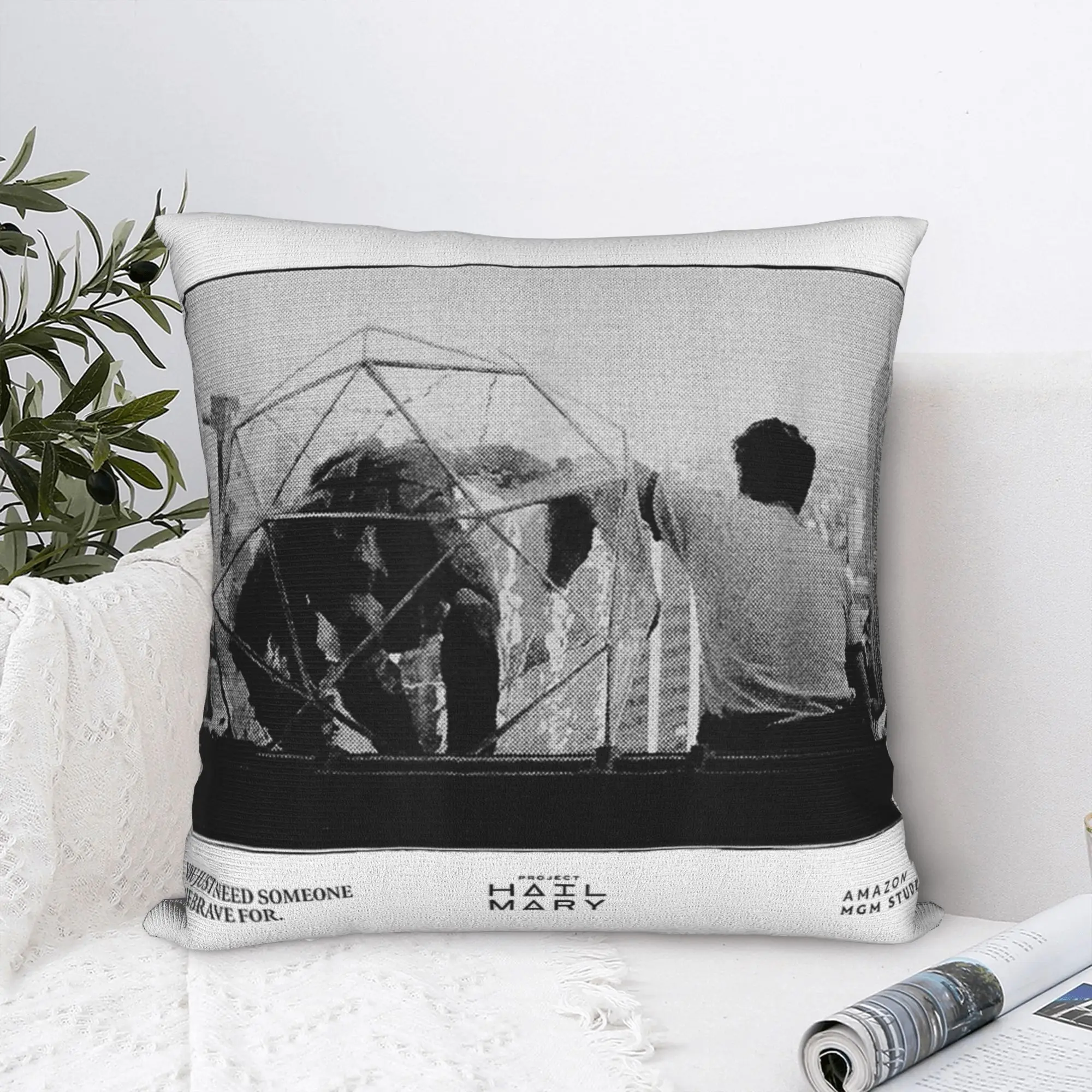 You Just Need Someone Project Hail Mary Pillow Cover  Soft Cushion Cover Fashion Pillow Case For Sofa Bedroom Home Decor