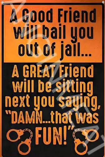 A Good Friend Will Bail You Out Funny Sign 8