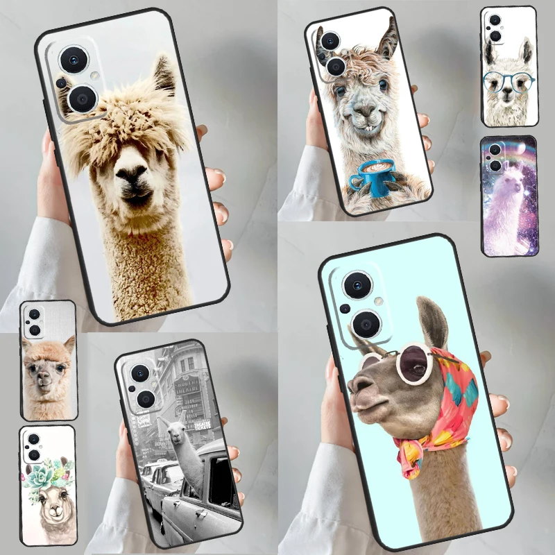 Lama Llama Alpaca C…