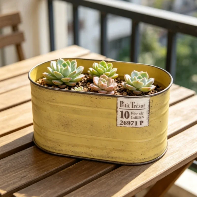 Ironwork Retro Oval Flowerpot Home Furnishing Balcony Decoration Garden Horticulture Succulent Plant Grass Seedl Cultivation Pot
