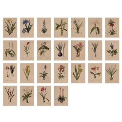 Kraft Paper Postcard Lily Decorative Painting Retro Wall Stickers Card Gift Wish Greeting Card Wedding Invitation Birthday Card