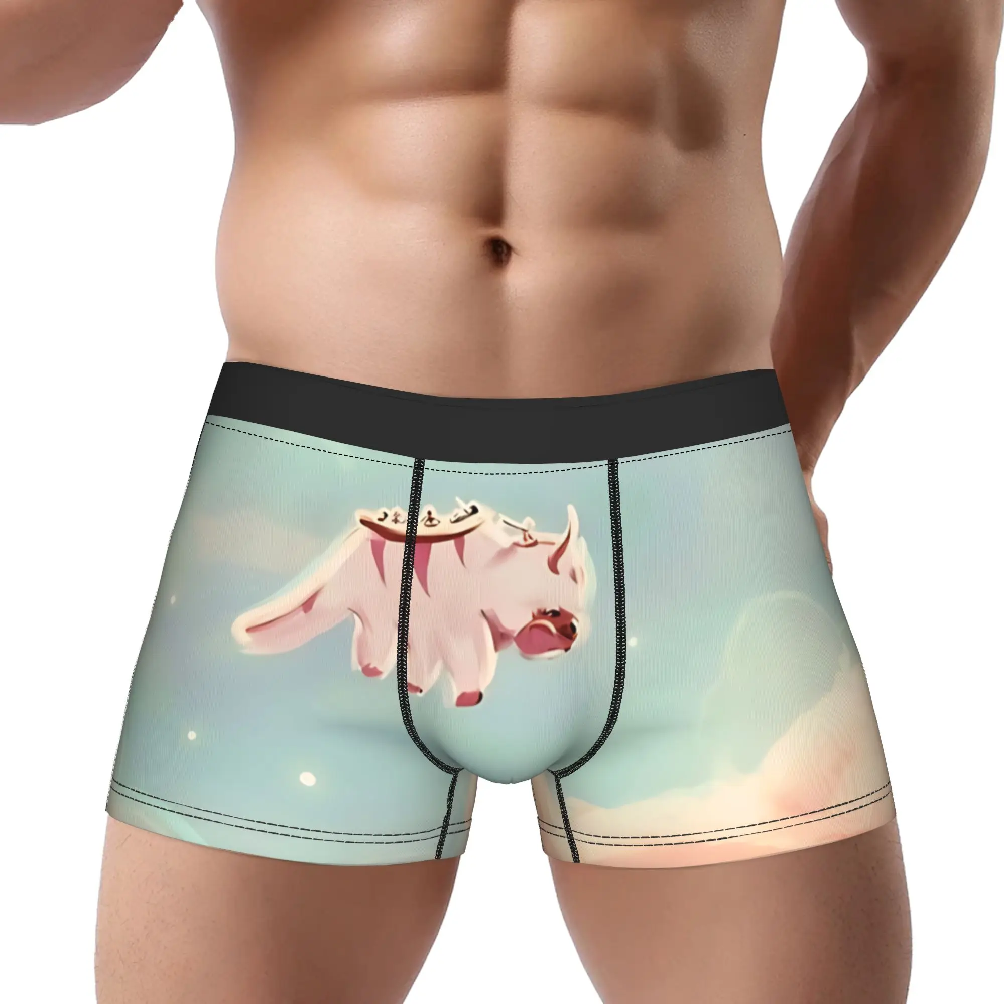 

Avatar Fly High Appa Avatar Anime Underpants Breathbale Panties Male Underwear Comfortable Shorts Boxer Briefs