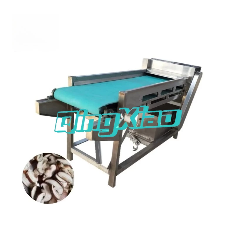 Vegetable Processing Machine Slicing Seaweed Banana Sliced Cut Mushroom Slicer Machine Food Supporting Equipment view 5