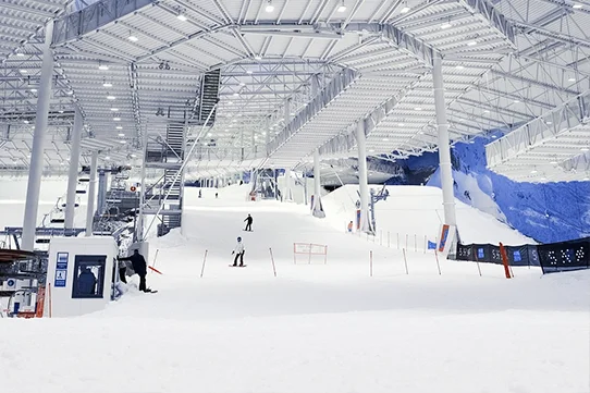 High Quality Blue White Mushroom Dry Ski Mat Carpet Outdoor Park Garden Artificial Dry Snow Ski Slopes Runway