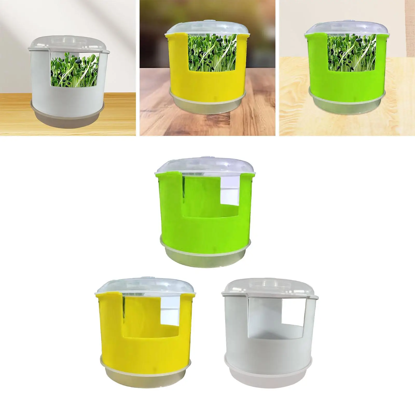 Seedling Starter Tray Big Capacity Multifunctional Hydroponic Peanut Sprout Box Grower Sprouting Container for Wheat Wheatgrass