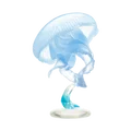 Moon Jellyfish