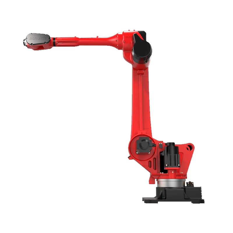 BORUNTE Factory Direct Sales  with 3000mm Length and 30 KG  Payload Industrial Robot Handing Welding Palletizing Loading Robot