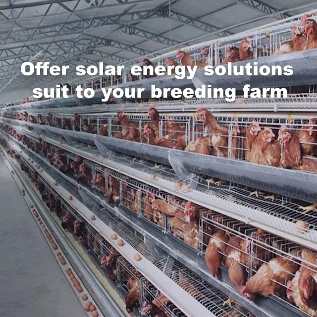 Customized 30kW-50kW Chicken Farms Photovoltaic Energy Conversion Hybrid Inverter On/off Grid Solar Power System